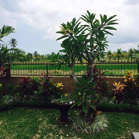 אובוד Villa Bali Green מראה חיצוני תמונה