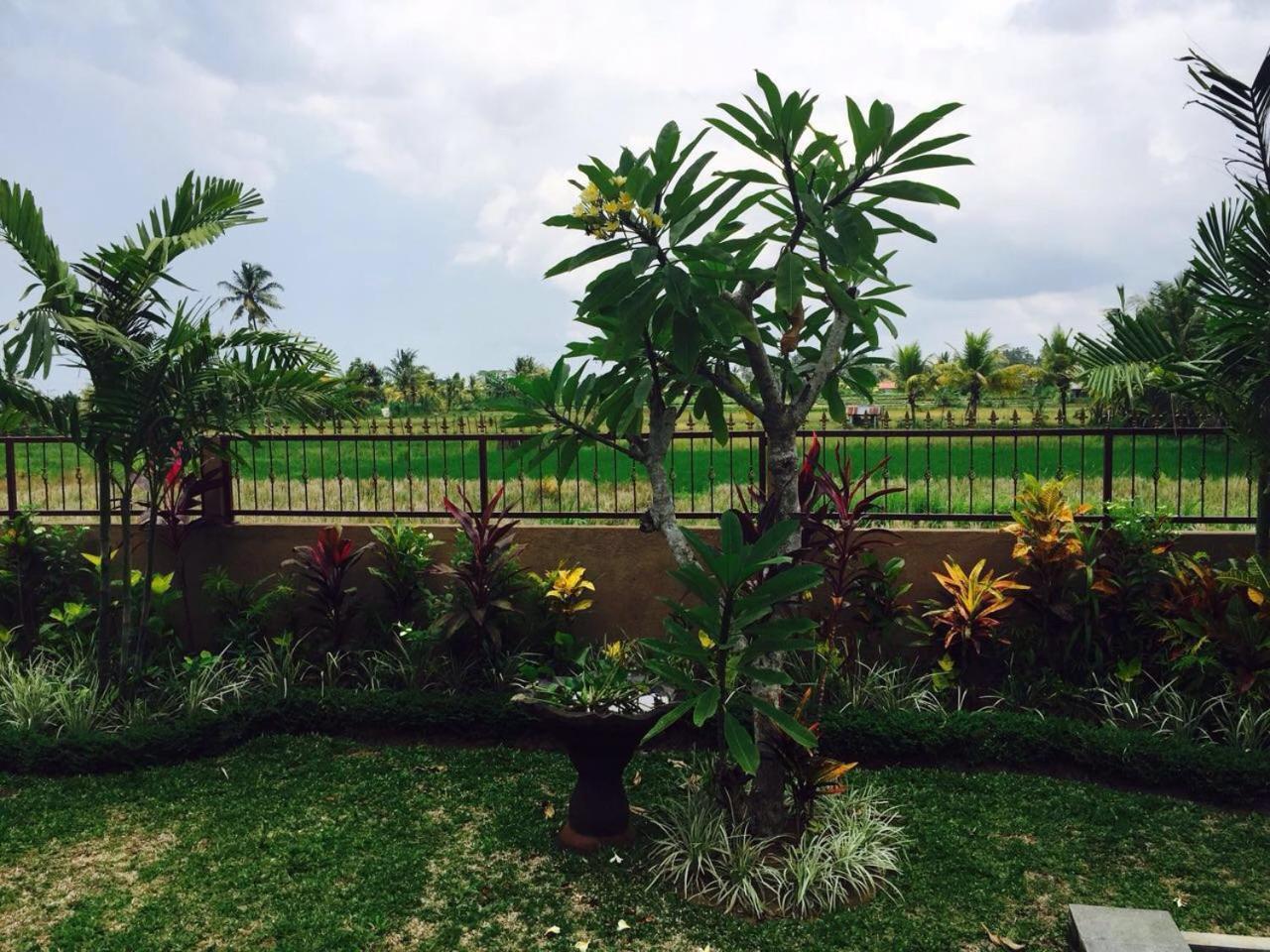 אובוד Villa Bali Green מראה חיצוני תמונה